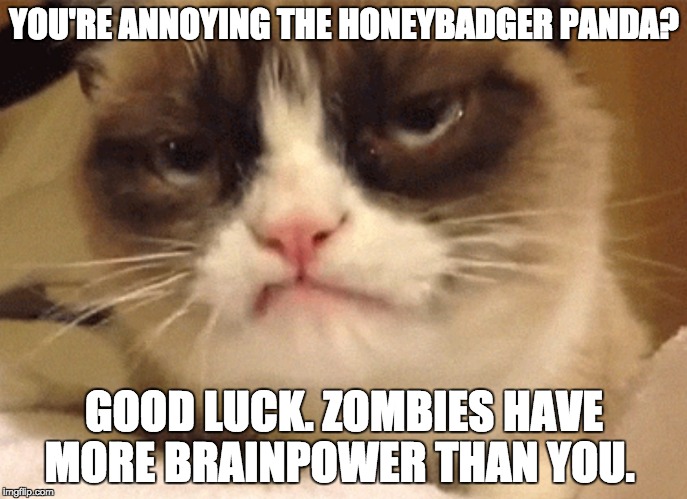 DISAPPROVING GRUMPY CAT | YOU'RE ANNOYING THE HONEYBADGER PANDA? GOOD LUCK. ZOMBIES HAVE MORE BRAINPOWER THAN YOU. | image tagged in disapproving grumpy cat | made w/ Imgflip meme maker