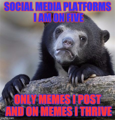 Confession of a meme-ear | SOCIAL MEDIA PLATFORMS I AM ON FIVE; ONLY MEMES I POST AND ON MEMES I THRIVE | image tagged in memes,confession bear,funny memes,social media | made w/ Imgflip meme maker