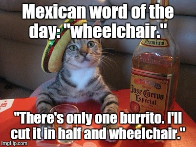 Tequila | Mexican word of the day: "wheelchair." "There's only one burrito. I'll cut it in half and wheelchair." | image tagged in tequila | made w/ Imgflip meme maker
