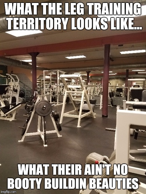 Booty Gainzzz | WHAT THE LEG TRAINING TERRITORY LOOKS LIKE... WHAT THEIR AIN'T NO BOOTY BUILDIN BEAUTIES | image tagged in gym,comedy,memes | made w/ Imgflip meme maker