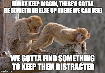 Up My Monkey Butt | HURRY KEEP DIGGIN, THERE'S GOTTA BE SOMETHING ELSE UP THERE WE CAN USE! WE GOTTA FIND SOMETHING TO KEEP THEM DISTRACTED | image tagged in monkeys | made w/ Imgflip meme maker