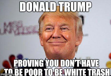 Making America Great Again. | DONALD TRUMP; PROVING YOU DON'T HAVE TO BE POOR TO BE WHITE TRASH | image tagged in donald trump approves | made w/ Imgflip meme maker