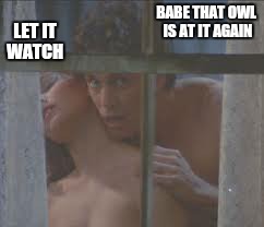 BABE THAT OWL IS AT IT AGAIN LET IT WATCH | made w/ Imgflip meme maker