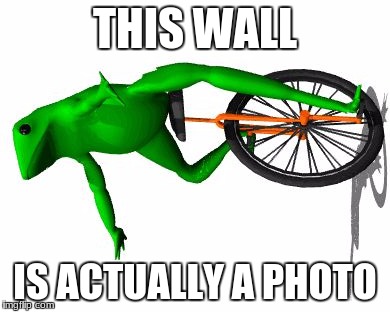 Dat Boi | THIS WALL; IS ACTUALLY A PHOTO | image tagged in memes,dat boi | made w/ Imgflip meme maker