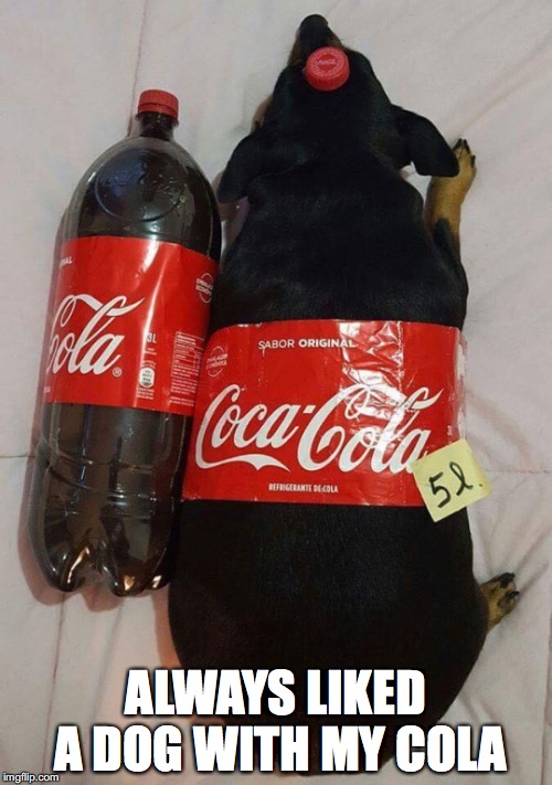 When There’s No Need To “Curb" Your Appetite   | ALWAYS LIKED A DOG WITH MY COLA | image tagged in funny dogs,coca cola | made w/ Imgflip meme maker
