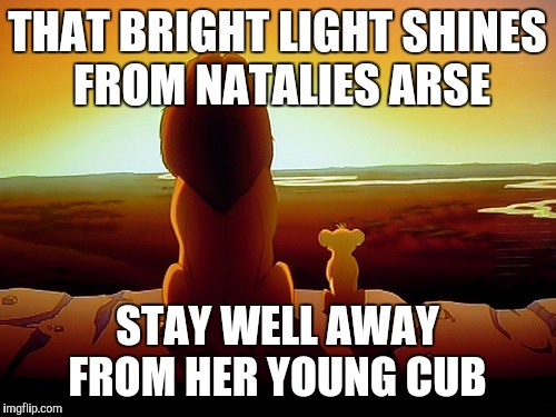 Lion King Meme | THAT BRIGHT LIGHT SHINES FROM NATALIES ARSE; STAY WELL AWAY FROM HER YOUNG CUB | image tagged in memes,lion king | made w/ Imgflip meme maker