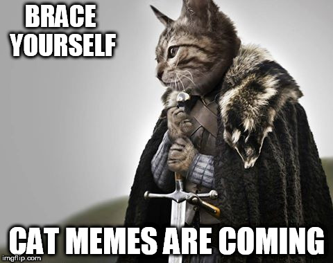 BRACE YOURSELF CAT MEMES ARE COMING | made w/ Imgflip meme maker