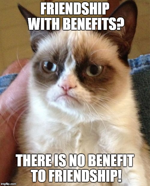 Grumpy Cat Meme | FRIENDSHIP WITH BENEFITS? THERE IS NO BENEFIT TO FRIENDSHIP! | image tagged in memes,grumpy cat | made w/ Imgflip meme maker