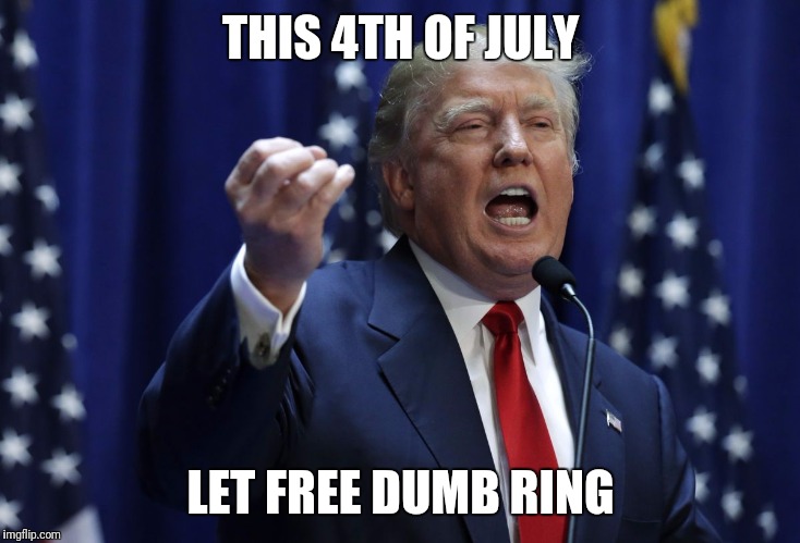 Trump | THIS 4TH OF JULY; LET FREE DUMB RING | image tagged in trump | made w/ Imgflip meme maker