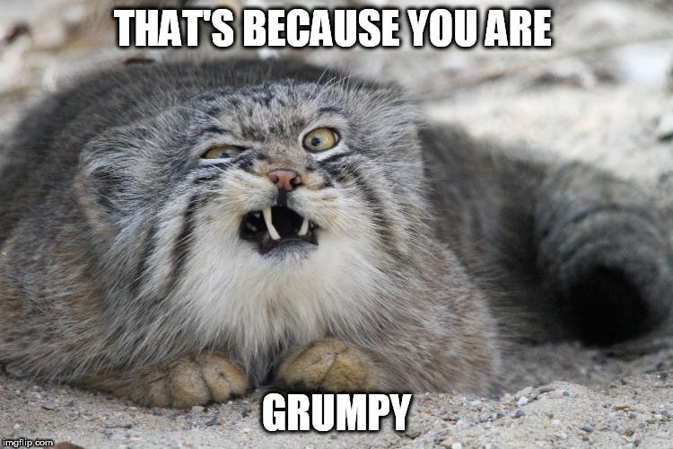 THAT'S BECAUSE YOU ARE GRUMPY | made w/ Imgflip meme maker