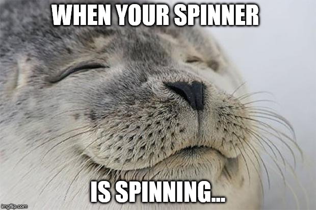 fidget spinners | WHEN YOUR SPINNER; IS SPINNING... | image tagged in memes,satisfied seal,fidget spinner | made w/ Imgflip meme maker