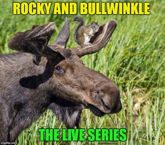 It's Squirrel week! From now to the 25th! A robroman event.  | ROCKY AND BULLWINKLE; THE LIVE SERIES | image tagged in squirrel week,squirrel,moose,the rocky and bullwinkle show,memes,funny memes | made w/ Imgflip meme maker