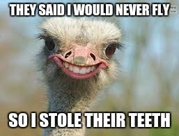 THEY SAID I WOULD NEVER FLY; SO I STOLE THEIR TEETH | image tagged in funny,bird | made w/ Imgflip meme maker