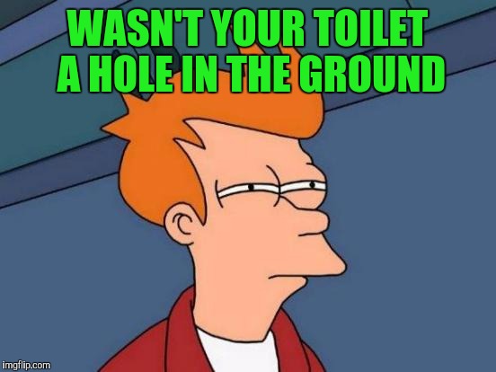 Futurama Fry Meme | WASN'T YOUR TOILET A HOLE IN THE GROUND | image tagged in memes,futurama fry | made w/ Imgflip meme maker