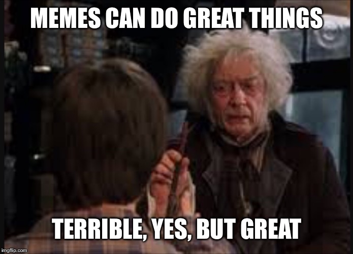 The power of memes | MEMES CAN DO GREAT THINGS; TERRIBLE, YES, BUT GREAT | image tagged in harry potter meme,wizard,terrible things,ollivanders | made w/ Imgflip meme maker