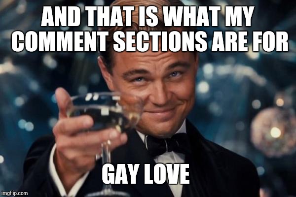 Leonardo Dicaprio Cheers Meme | AND THAT IS WHAT MY COMMENT SECTIONS ARE FOR GAY LOVE | image tagged in memes,leonardo dicaprio cheers | made w/ Imgflip meme maker