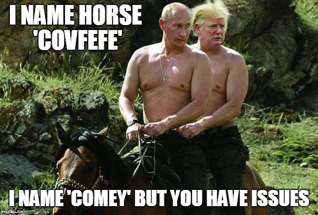 I NAME HORSE 'COVFEFE' I NAME 'COMEY' BUT YOU HAVE ISSUES | made w/ Imgflip meme maker