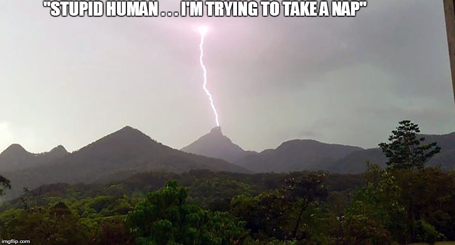 ''STUPID HUMAN . . . I'M TRYING TO TAKE A NAP'' | made w/ Imgflip meme maker