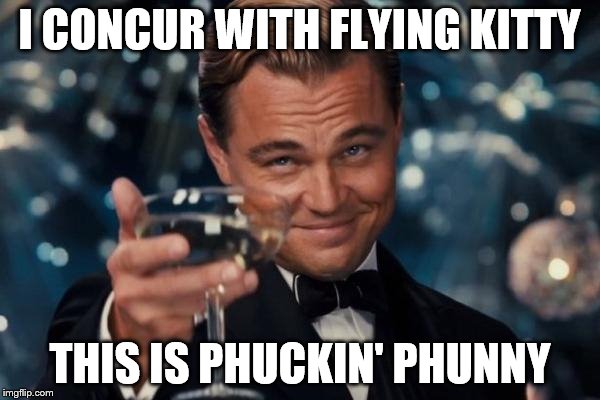 I CONCUR WITH FLYING KITTY THIS IS PHUCKIN' PHUNNY | made w/ Imgflip meme maker