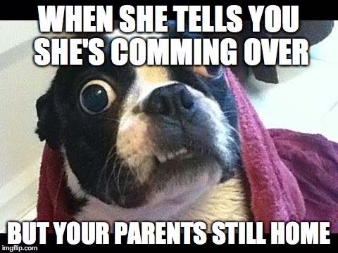 WHEN SHE TELLS YOU SHE'S COMMING OVER; BUT YOUR PARENTS STILL HOME | image tagged in dogs | made w/ Imgflip meme maker