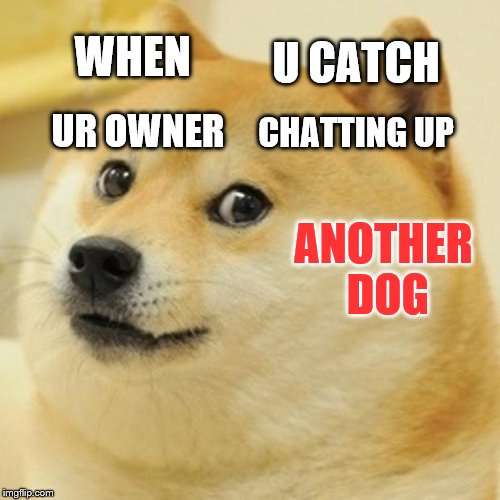 Doge | WHEN; U CATCH; UR OWNER; CHATTING UP; ANOTHER DOG | image tagged in memes,doge,omg,hell,why | made w/ Imgflip meme maker
