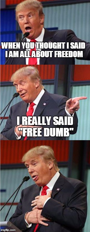 Bad Pun Trump | WHEN YOU THOUGHT I SAID I AM ALL ABOUT FREEDOM; I REALLY SAID "FREE DUMB" | image tagged in bad pun trump | made w/ Imgflip meme maker
