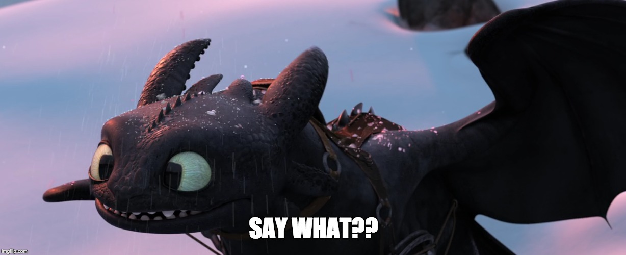 SAY WHAT?? | image tagged in toothless,how to train your dragon | made w/ Imgflip meme maker
