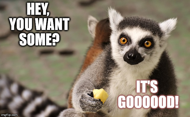 Generous Monkey | HEY, YOU WANT SOME? IT'S GOOOOOD! | image tagged in monkey,friends,generous,honest,triggered | made w/ Imgflip meme maker
