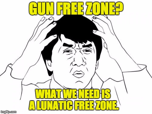 Jackie Chan WTF | GUN FREE ZONE? WHAT WE NEED IS A LUNATIC FREE ZONE. | image tagged in memes,jackie chan wtf | made w/ Imgflip meme maker