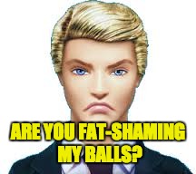 ARE YOU FAT-SHAMING MY BALLS? | made w/ Imgflip meme maker