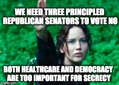Katniss salute | WE NEED THREE PRINCIPLED REPUBLICAN SENATORS TO VOTE NO; BOTH HEALTHCARE AND DEMOCRACY ARE TOO IMPORTANT FOR SECRECY | image tagged in katniss salute | made w/ Imgflip meme maker