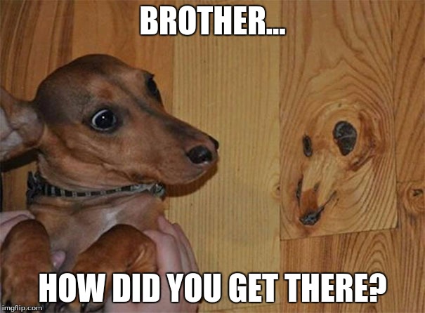 Can you imagine being the one taking this photo? | BROTHER... HOW DID YOU GET THERE? | image tagged in funny,pareidolia | made w/ Imgflip meme maker