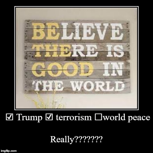 i think this sum the world up BTW i support world peace  | image tagged in funny,demotivationals,btw this is not for witch hunting other people | made w/ Imgflip demotivational maker