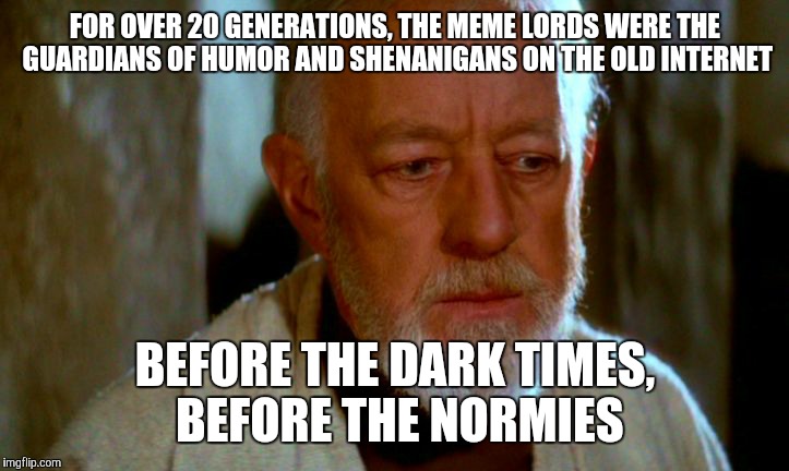 Thoughtful Obi-Wan Kenobi | FOR OVER 20 GENERATIONS, THE MEME LORDS WERE THE GUARDIANS OF HUMOR AND SHENANIGANS ON THE OLD INTERNET; BEFORE THE DARK TIMES, BEFORE THE NORMIES | image tagged in thoughtful obi-wan kenobi | made w/ Imgflip meme maker
