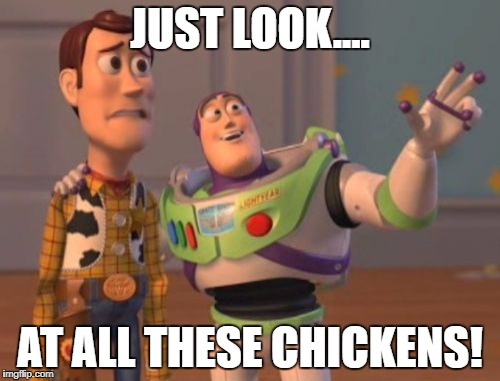 X, X Everywhere Meme | JUST LOOK.... AT ALL THESE CHICKENS! | image tagged in memes,x x everywhere | made w/ Imgflip meme maker