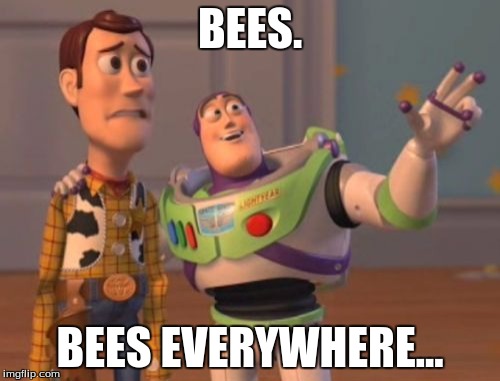 X, X Everywhere | BEES. BEES EVERYWHERE... | image tagged in memes,x x everywhere | made w/ Imgflip meme maker