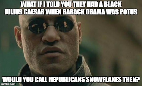 Republican Snowflakes | WHAT IF I TOLD YOU THEY HAD A BLACK JULIUS CAESAR WHEN BARACK OBAMA WAS POTUS; WOULD YOU CALL REPUBLICANS SNOWFLAKES THEN? | image tagged in potus,trump,republicans,snowflakes,ceasar | made w/ Imgflip meme maker