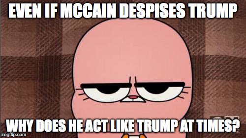 John McCain's Hypocrisy | EVEN IF MCCAIN DESPISES TRUMP; WHY DOES HE ACT LIKE TRUMP AT TIMES? | image tagged in anais' grumpy face,john mccain,memes | made w/ Imgflip meme maker