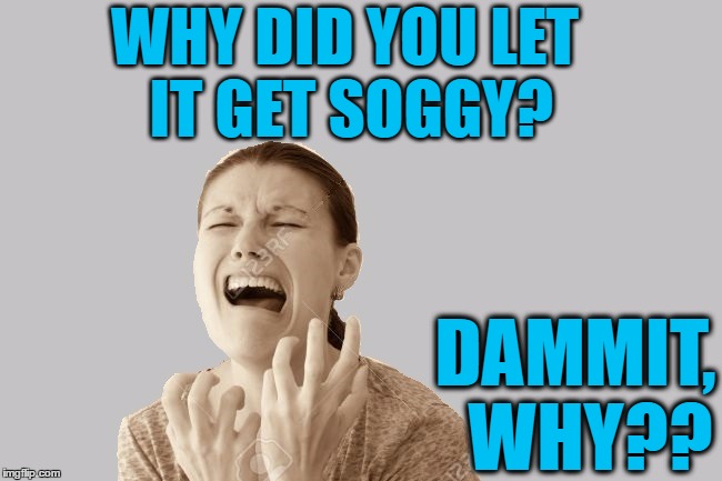 WHY DID YOU LET IT GET SOGGY? DAMMIT,  WHY?? | made w/ Imgflip meme maker