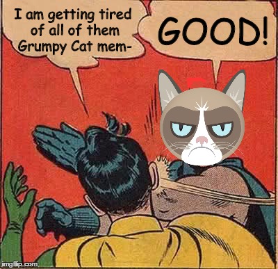 It's Grumpy Bat, Man!  | GOOD! I am getting tired of all of them Grumpy Cat mem- | image tagged in memes,batman slapping robin,grumpy cat | made w/ Imgflip meme maker