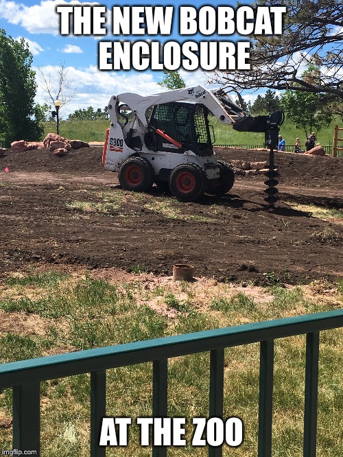 Just a day in the land of irony | THE NEW BOBCAT ENCLOSURE; AT THE ZOO | image tagged in memes | made w/ Imgflip meme maker