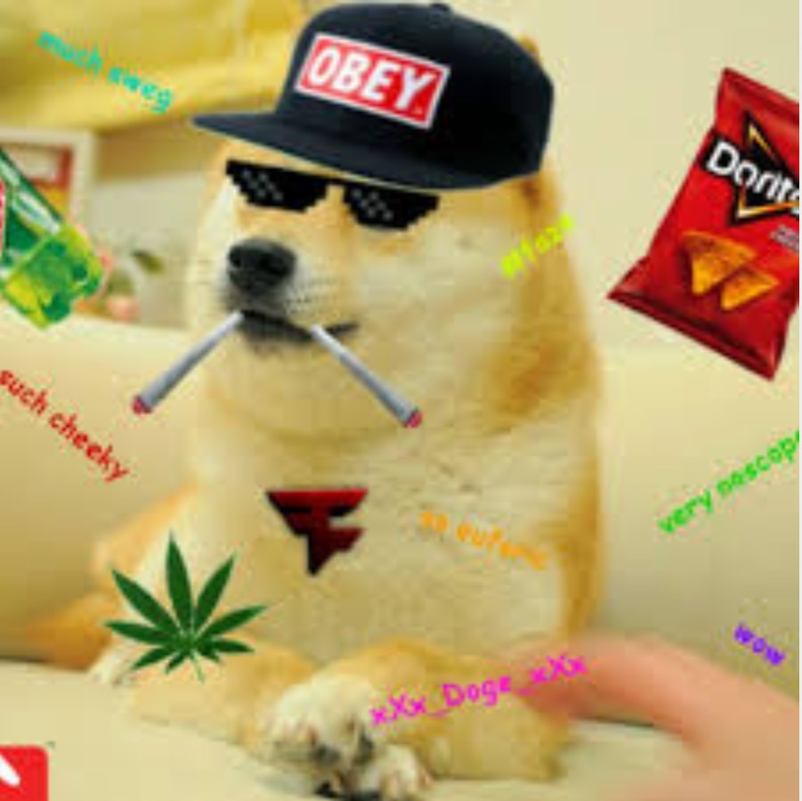 "Doge" Meme Templates - Imgflip