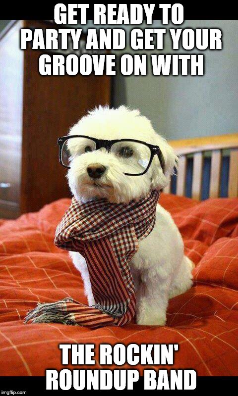 Intelligent Dog Meme | GET READY TO PARTY AND GET YOUR GROOVE ON WITH; THE ROCKIN' ROUNDUP BAND | image tagged in memes,intelligent dog | made w/ Imgflip meme maker