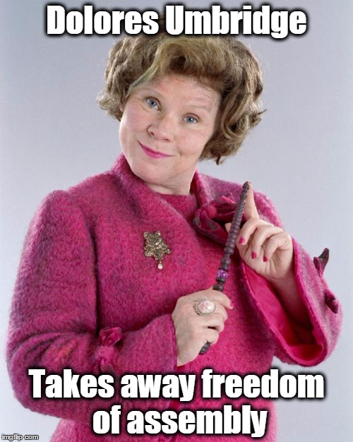 dolores umbridge |  Dolores Umbridge; Takes away freedom of assembly | image tagged in dolores umbridge,harry potter,first amendment,tyranny,tyrant | made w/ Imgflip meme maker
