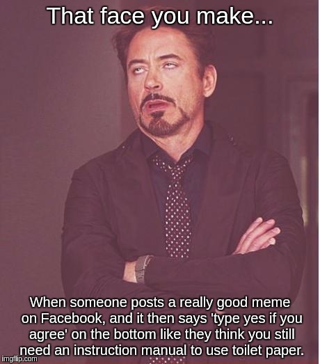 Face You Make Robert Downey Jr | That face you make... When someone posts a really good meme on Facebook, and it then says 'type yes if you agree' on the bottom like they think you still need an instruction manual to use toilet paper. | image tagged in memes,face you make robert downey jr | made w/ Imgflip meme maker