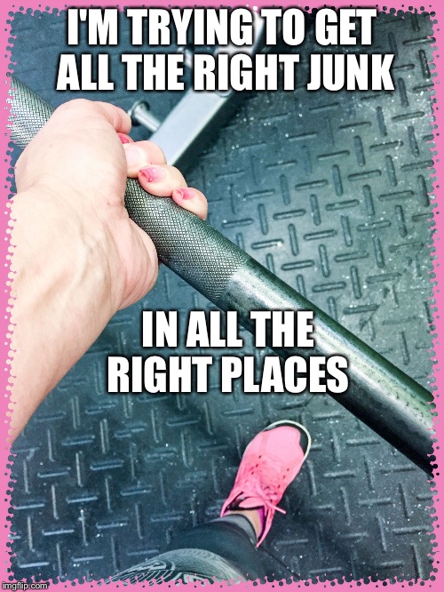 I'M TRYING TO GET ALL THE RIGHT JUNK; IN ALL THE RIGHT PLACES | image tagged in lift | made w/ Imgflip meme maker
