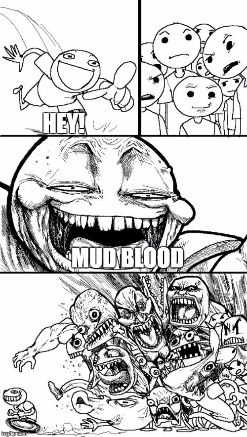 Hey Internet | HEY! MUD BLOOD | image tagged in memes,hey internet | made w/ Imgflip meme maker