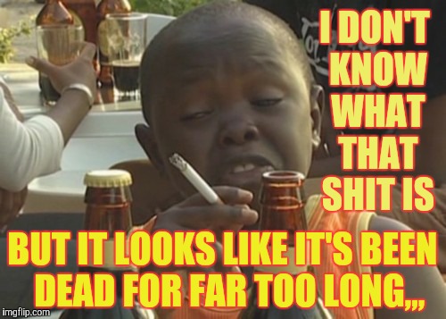 Smoking kid,,, | I DON'T KNOW WHAT THAT SHIT IS; BUT IT LOOKS LIKE IT'S BEEN  DEAD FOR FAR TOO LONG,,, | image tagged in smoking kid   | made w/ Imgflip meme maker