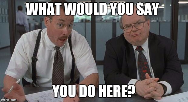office space what do you do here | WHAT WOULD YOU SAY; YOU DO HERE? | image tagged in office space what do you do here,caps | made w/ Imgflip meme maker