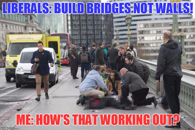 Life is Hilariously Ironic | LIBERALS: BUILD BRIDGES NOT WALLS! ME: HOW'S THAT WORKING OUT? | image tagged in meme,funny,irony,liberals,silly | made w/ Imgflip meme maker
